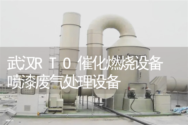 武汉RTO催化燃烧设备 喷漆废气处理设备